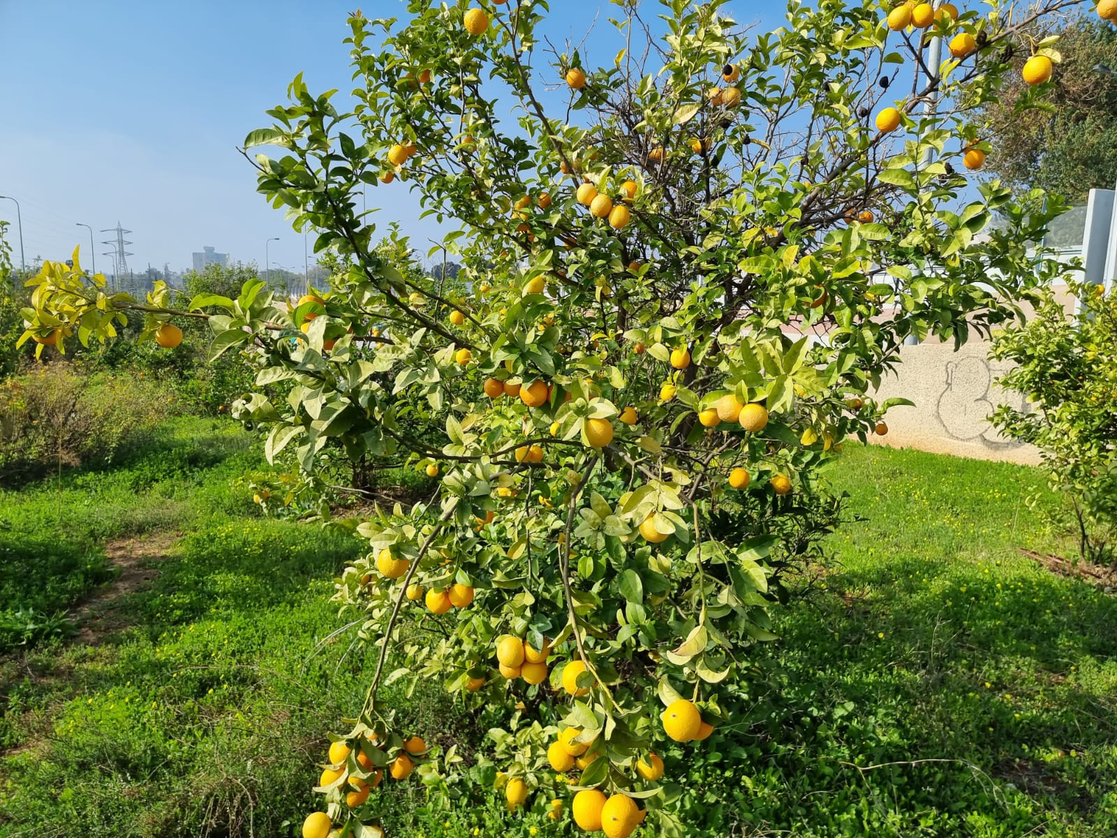 WhatsApp Image 2022-01-08 at 1.29.41 PM.jpeg